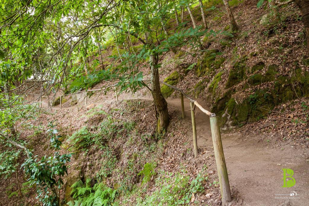 Quinta Da Bouca - Agroturismo Pacos de Gaiolo 部屋 写真
