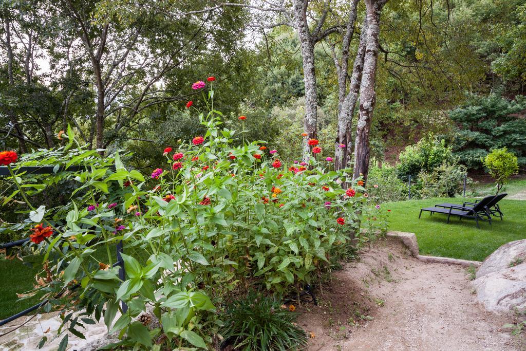 Quinta Da Bouca - Agroturismo Pacos de Gaiolo 部屋 写真